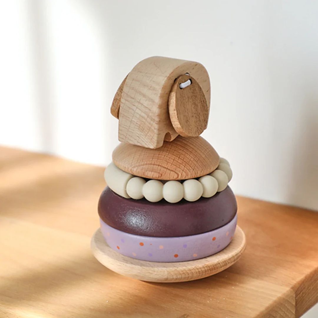 Box Giochi Montessori 0 - 12 Mesi Torre - Auterre