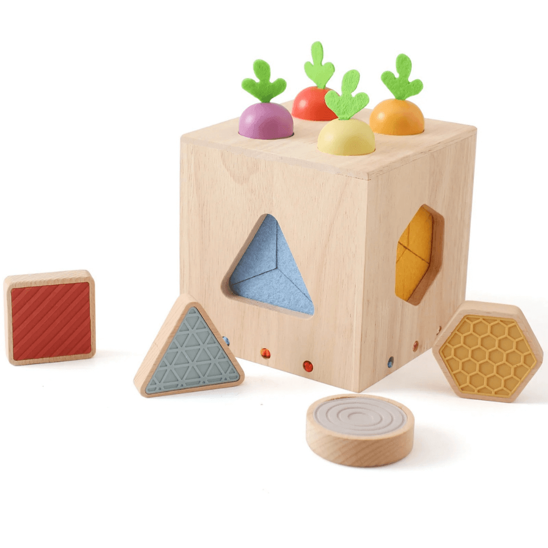 Sharpe Baby Busy Box - Auterre