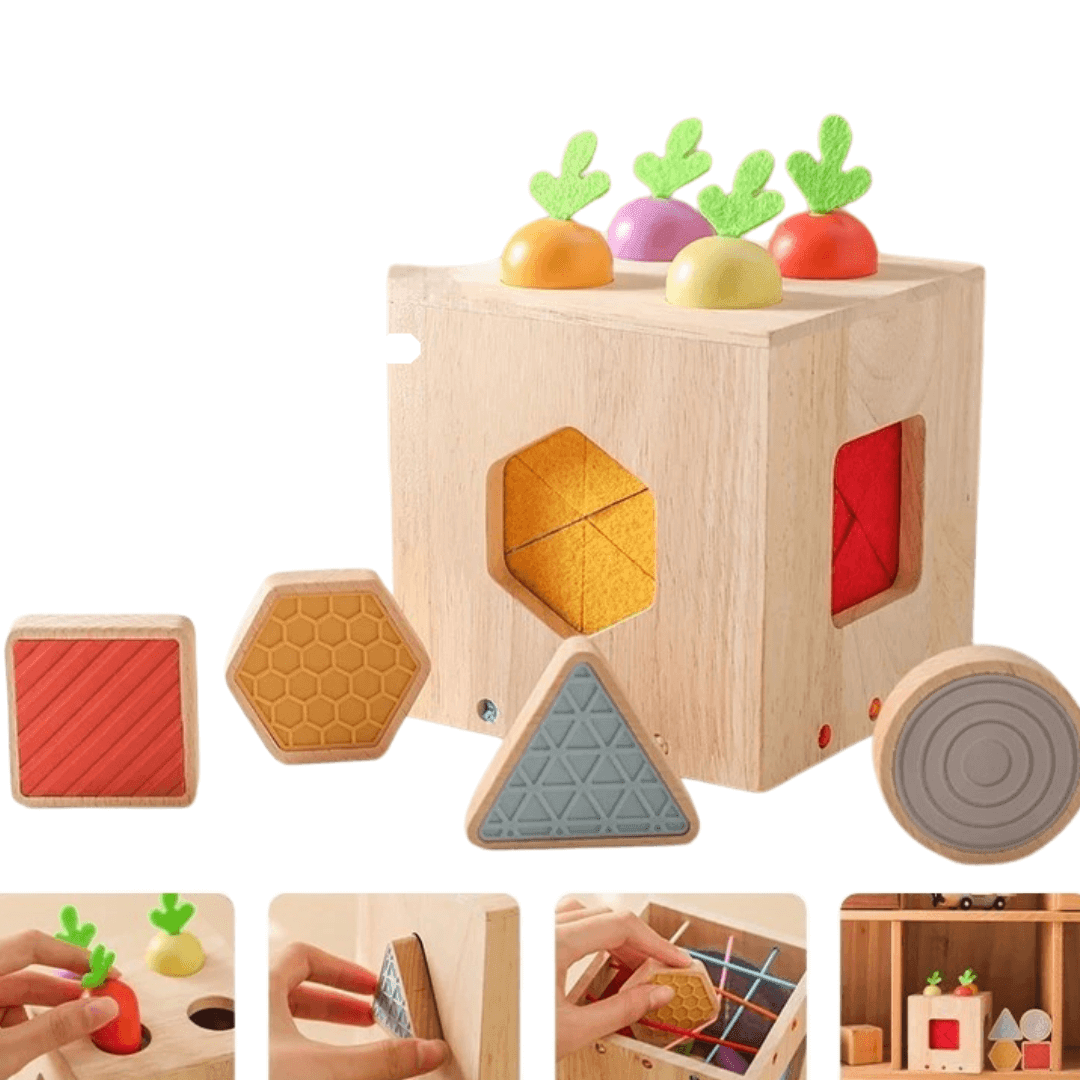 Sharpe Baby Busy Box - Auterre